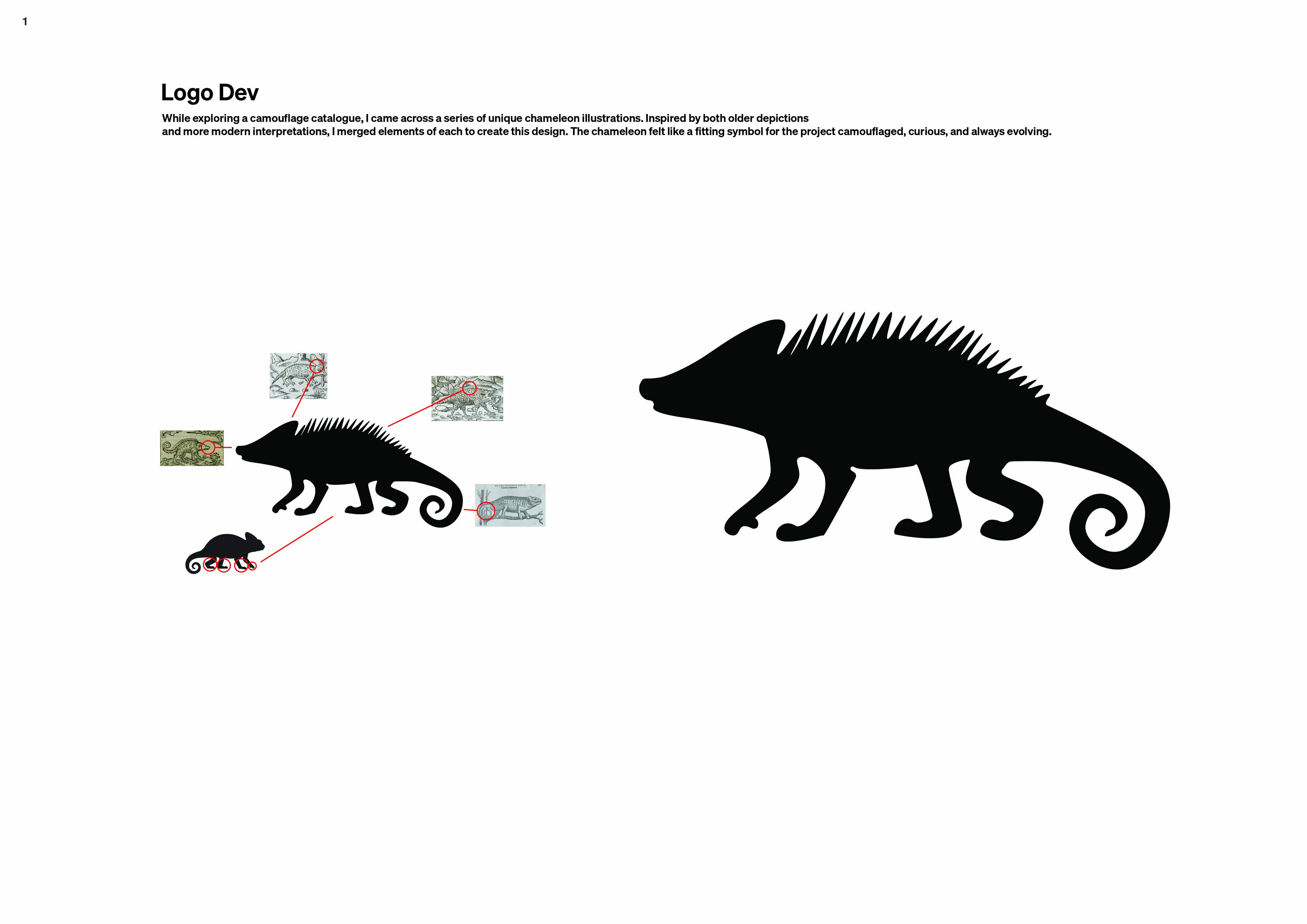 The Prehistory of Camouflage process